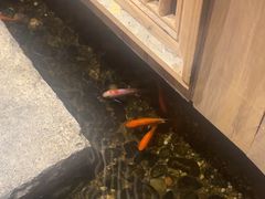 -邈墨茶馆(凤起路店)