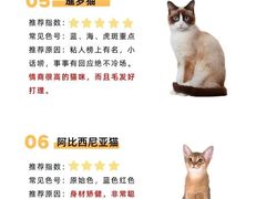 -纳吉亚猫专科动物医院博雅分院