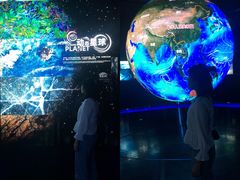 -贝林大翅鲸简餐厅(国家海洋博物馆店)