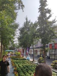 -爱儿美儿童摄影亲子馆(五路居店)