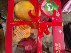 -百果园PAGODA(玄武成贤街店)