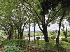 -大屏嶂森林公园