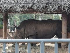 -石家庄市动物园