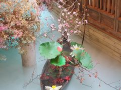 -叶叶菩提·晋福宫