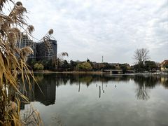 -美兰湖景区
