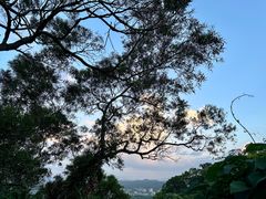 -海口火山口国家地质公园