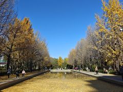-玲珑塔公园