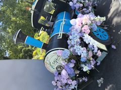 -上海鲜花港