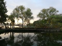 -西湖外事游船(花港观鱼码头)