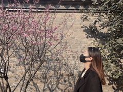 -回龙窝历史文化街区