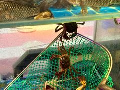 -二钳洞庭虾蟹·江湖菜(成都鹭岛店)