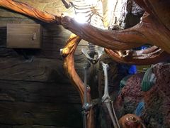 -青岛嘉年华主题乐园