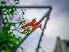 -书隐楼