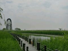 -太湖湖滨国家湿地公园-停车场