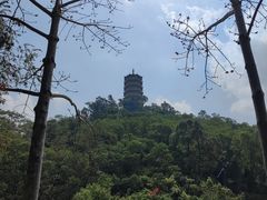 -深圳国际园林花卉博览园