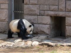 -昆明动物园