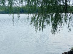 -尚湖风景区