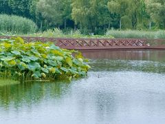 -金银湖国家城市湿地公园