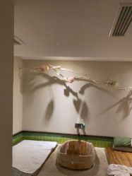 -香秀空间科技抗衰·美容中心