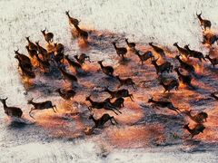 -罗红摄影艺术馆