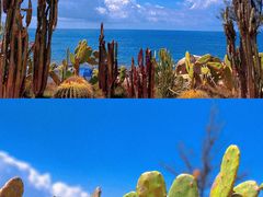 -广东惠东海龟国家级自然保护区