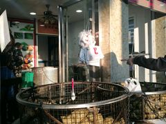 -赵记粽子(司前街店)