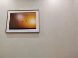 -北京米扬丽格医疗美容·联合丽格鼻整形中心