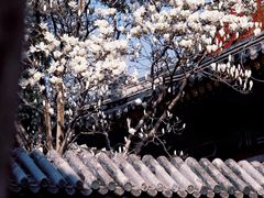 -北京艺术博物馆(万寿寺)