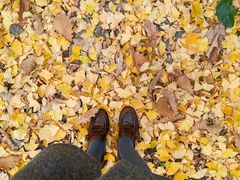 -长白岛森林公园