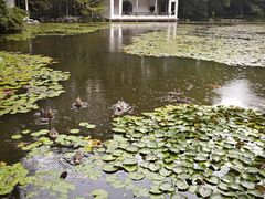 -杭州植物园