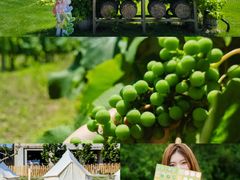 -圣露庄园·露营·烤肉·亲子
