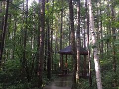 -长白山天域度假酒店