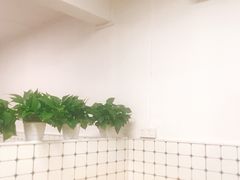 -金粿粿·牛肉粿