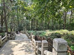 -灵岩山风景区