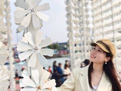 -荷兰花海