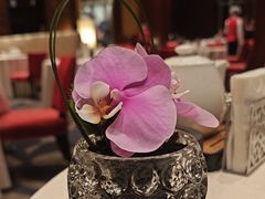 -香乐园·淮扬菜中餐厅·Shang Garden(福田香格里拉店)