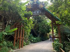 -海南槟榔谷黎苗文化旅游区