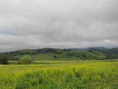 -新疆那拉提国家旅游度假区