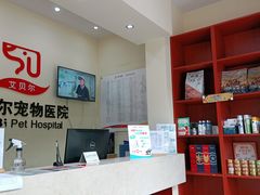 -艾贝尔宠物医院 ·内科全科(梁溪路店)