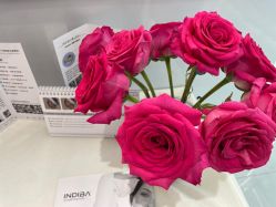 -UTIME媛腾·胶原科技中心