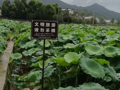 景点-古田会议纪念馆