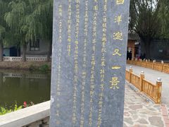 -白洋淀风景区