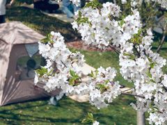 -龙美术馆(西岸馆)