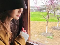 -秀丽东方