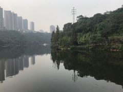 -重庆彩云湖湿地公园