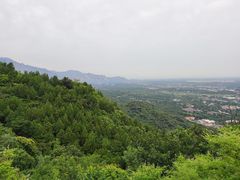 -北京鹫峰国家森林公园