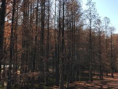-青龙山国家森林公园