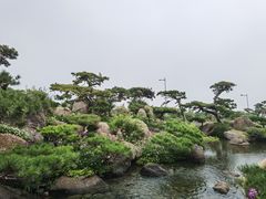 -罗红摄影艺术馆