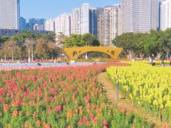 -海心沙亚运公园