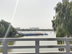 -大兴滨河森林公园